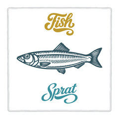 Hand drawn Sprat fish illustration in vintage engraving style with lettering. Perfect for seafood design, restaurant branding, menus, labels, posters, and packaging. Part of set.
