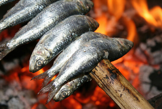 Primer plano de sardinas plateadas frescas ensartadas en una ca&ntilde;a de bamb&uacute; as&aacute;ndose sobre las llamas vivas de una hoguera