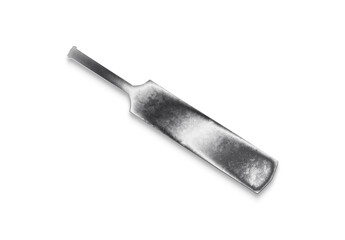 Chrome metal 3D logo effect Mockup of Cricket Bat.	
