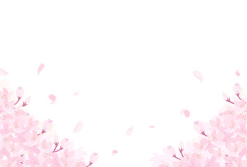 満開の桜のイラスト_横3