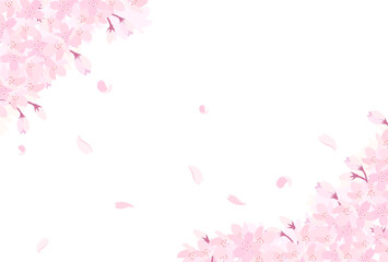 満開の桜のイラスト_横4