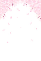 満開の桜のイラスト_縦1