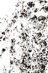 Acrylic Black Ink Paint Splatters and Spots Blot on White for Background