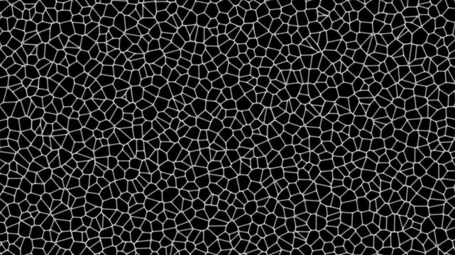 Animated Voronoi Pattern video