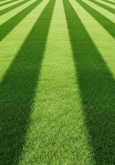 Perfectly manicured green lawn showing distinct light and dark striped patterns created by professional mowing and rolling techniques, classic, vibrant, stripes