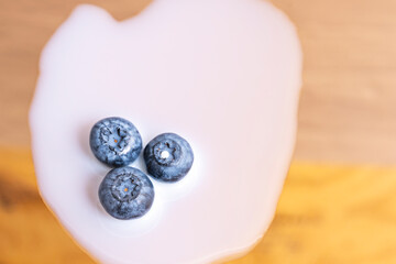 The elegant simplicity of a branch of wild blueberries, its berries hanging delicately