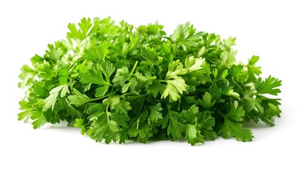 Obraz premium parsley herb isolated on white