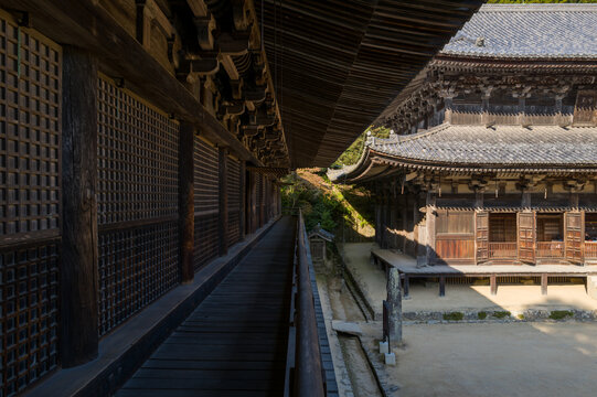 Two historic wooden temple halls at Engyoji on Mount Shosha, Himeji, Japan, display intricate latticework and deep eaves in warm sunlight. The composition highlights architectural symmetry, textures