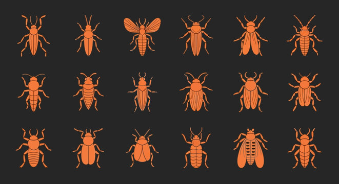 Collection of various orange insect silhouettes on a dark background, showcasing different species and forms of bugs.