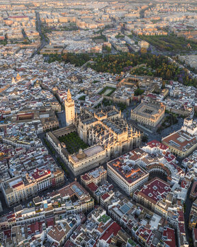 Aerial view of the majestic Seville Cathedral and the Alc&Atilde;&iexcl;zar palace rise amidst a tapestry of terracotta rooftops bathed in the warm glow of the setting sun, Seville, Andalusia, Spain.