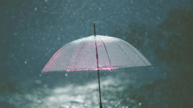 umbrella in rain