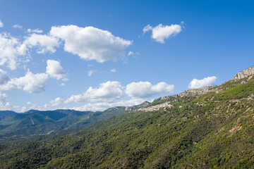 Fototapeta premium Vast rolling hills blanketed in lush greenery stretch beneath a bright blue sky dotted with scattered white clouds near Baunei, Sardinia. Sunlight enhances the textures of the rugged Mediterranean