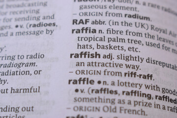 English Dictionary Book Page Close Up With The Word Definition Of - raffish
