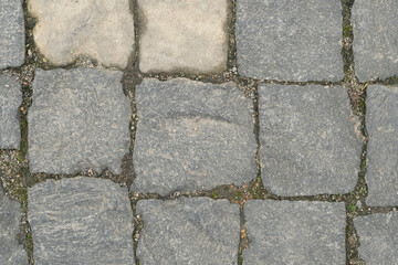 Obraz premium Gray granite cobblestone pavement with moss and dirt in joints, top view.