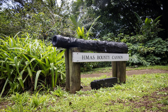 View of weathered HMAS Bounty Cannon resting on rustic wooden supports amidst vibrant green foliage, a relic of history in Adamstown, Pitcairn Islands.