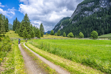 Obraz premium A picturesque path winds through a lush green meadow, surrounded by majestic mountains in Austria. A couple enjoys a leisurely walk, embracing the beauty of nature and tranquility.