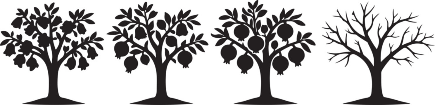 Vector Silhouettes of Pomegranate and Fruit Trees: Set of 4 Black Icons Illustrating the Growth Cycle, Seasons, and Horticulture - Ideal for Logos, Gardening, and Organic Food Design