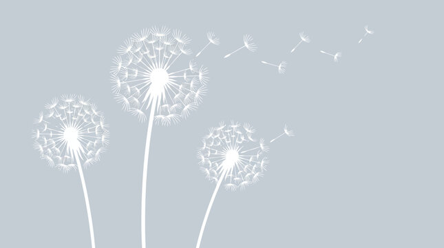 Soft blue background with dandelion seeds blowing in the wind &ndash; delicate nature illustration for design and decor
