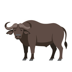 Fototapeta premium cute baby African Buffalo, flat design, vector illustration, isolated on white transparent background for kids kindergartens themes