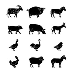 Fototapeta premium farm animals collection vector