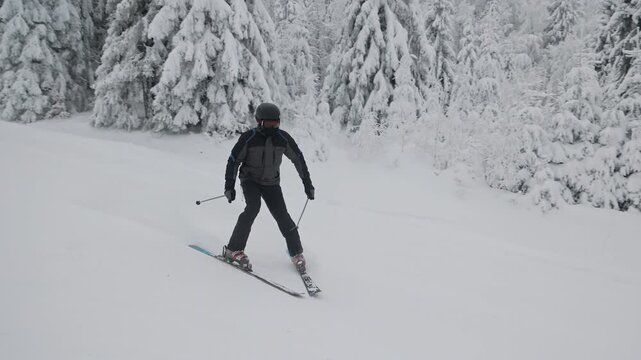 Professional skier in full gear skiing down on snowy mountain slope, active winter sport activity in coniferous forest on a foggy day