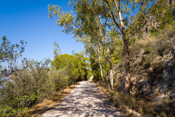 Fototapeta premium A quiet gravel trail winds between rocky slopes and lush green trees under a vivid blue sky. Dappled sunlight filters through foliage, creating a peaceful and inviting natural scene.