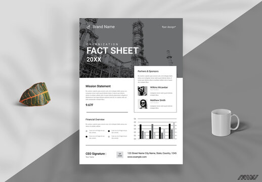 Organization Fact Sheet Template