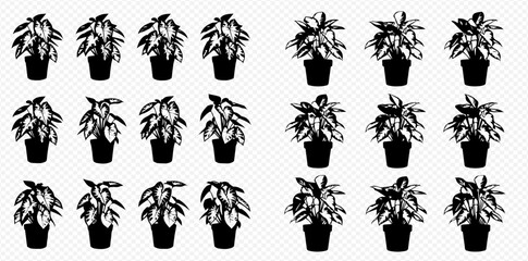 Set of potted plants silhouettes, hand-drawn vector illustration of houseplant icons, botanical elements for home decor.