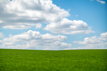 Fototapeta premium Grass sky clouds bright green field under vast blue heavens with cumulus copy space