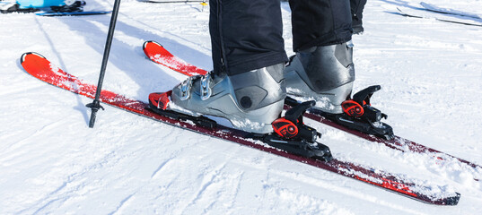 Close up of unrecognizable person skiing on snow. © Jelena Stanojkovic