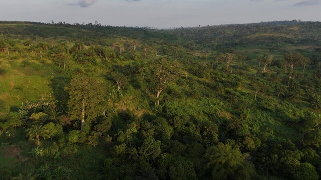 aerial perspective of the vast and untouched tropical forest canopy in the Republic of the Congo, Africa