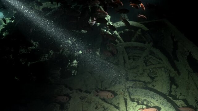 This image inside the SS Thistlegorm shows the specialized way its World War II cargo was transported. In the shadowed holds, BSA M20 and Norton 16H motorcycles seen loaded into the trucks.