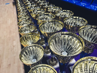 Multiple gold and silver trophies in a row.