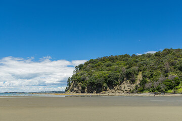 ニュージーランド　オークランド地方にあるワイウェラのビーチ