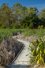 ニュージーランド　ホークス・ベイ地方にある湿地保護区のペカペカ・リージョナルパーク