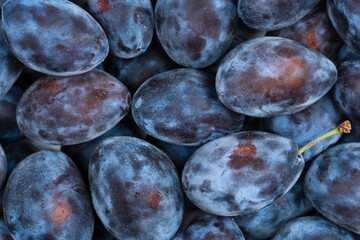 Fresh plums background. Top view. Organic food.