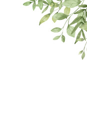 Floral background for greeting cards with watercolor green leaves, perfectly for invitations and other printing design. Isolated on white. Hand drawing.