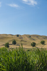 ニュージーランド　ホークス・ベイ地方にある湿地保護区のペカペカ・リージョナルパーク