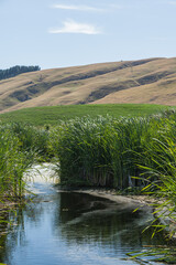 ニュージーランド　ホークス・ベイ地方にある湿地保護区のペカペカ・リージョナルパーク