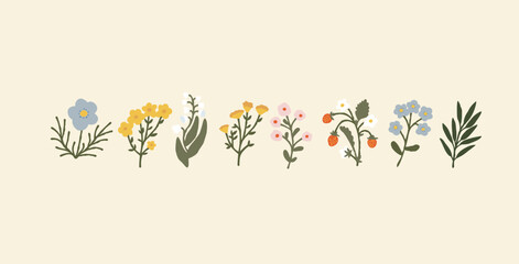 Hand-drawn set of wild flowers and botanical elements on a cream background