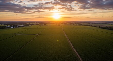 Aerial View of Green Field at Sunset.