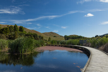 ニュージーランド　ホークス・ベイ地方にある湿地保護区のペカペカ・リージョナルパーク