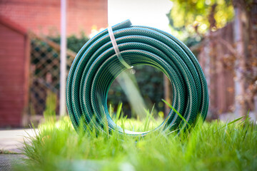 A newly purchased garden hose, still neatly coiled and unused, 