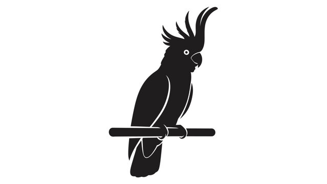 Silhouette of cockatoo perched on branch.