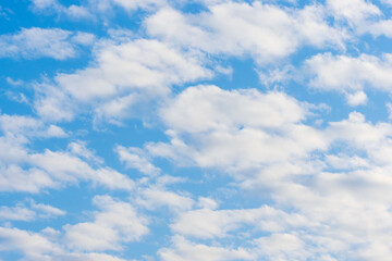 Fototapeta premium 冬の朝の空にうろこ雲のアップ17