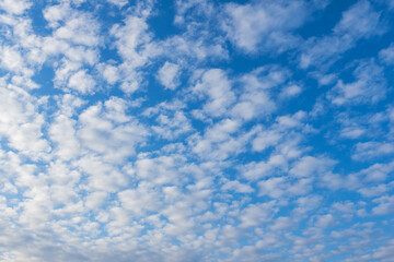 Obraz premium 冬の朝の空にうろこ雲08