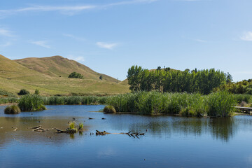 ニュージーランド　ホークス・ベイ地方にある湿地保護区のペカペカ・リージョナルパーク