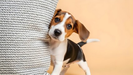 beagle dog portrait