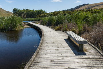 ニュージーランド　ホークス・ベイ地方にある湿地保護区のペカペカ・リージョナルパーク