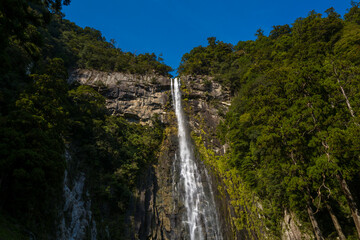 A dramatic waterfall plunges down a steep rocky cliff framed by lush evergreen trees and vibrant moss in Wakayama, Japan. Deep blue sky and crisp sunlight create a vivid, natural scene.